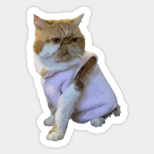 Cute cat with sweater Sticker